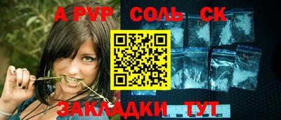гашик Майкоп