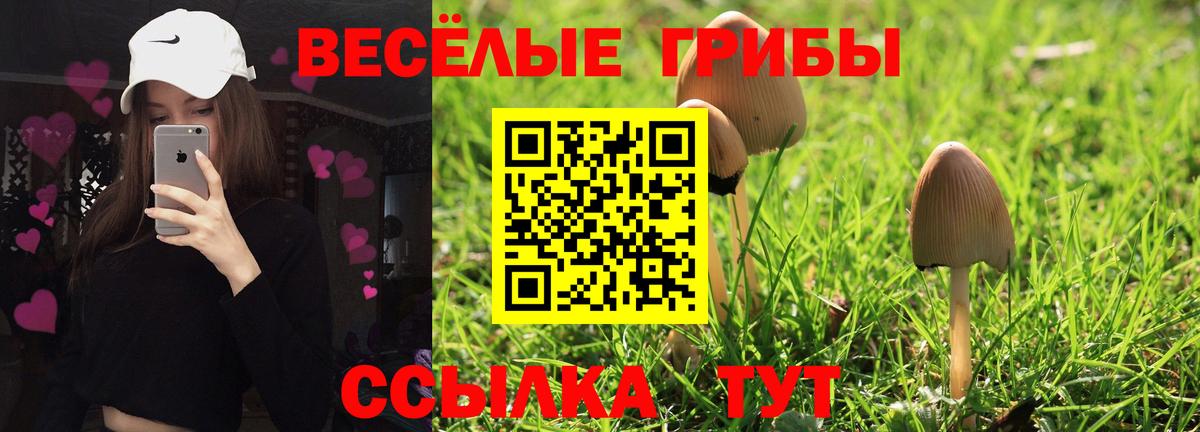 Галлюциногенные грибы Cubensis  Вход с VPN  Кохма 
